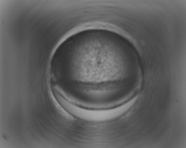 X0000082951522200702081636