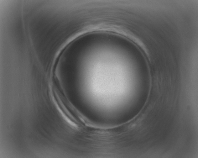 X0000082951525200702081636