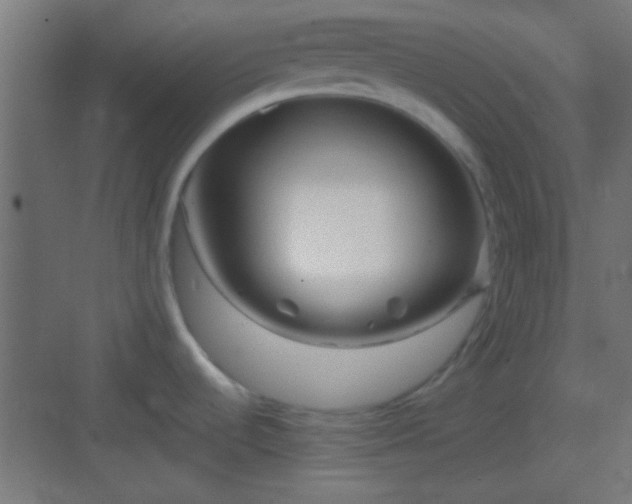 X0000082951536200702081636