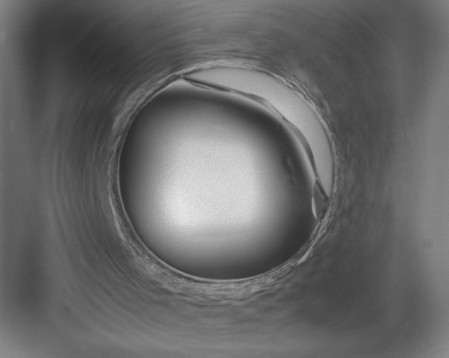 X0000082950001200702152252