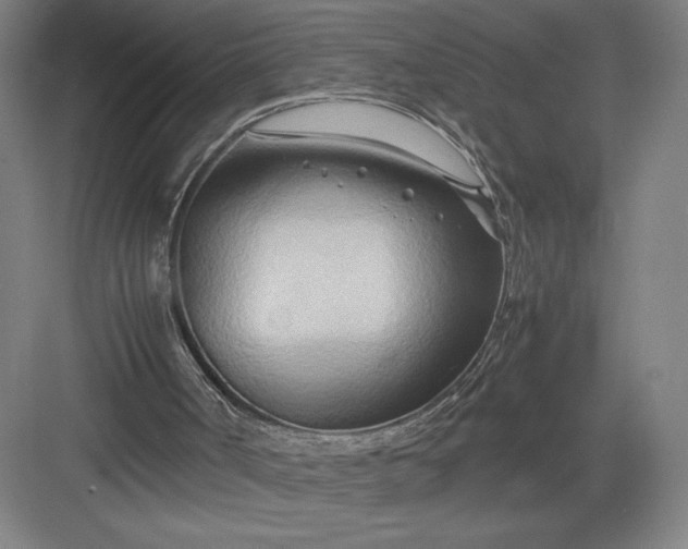 X0000082950002200702152252