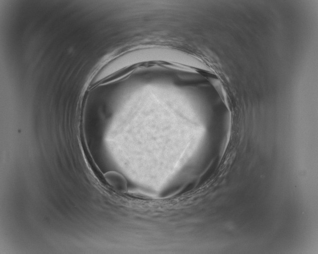 X0000082950003200702152252