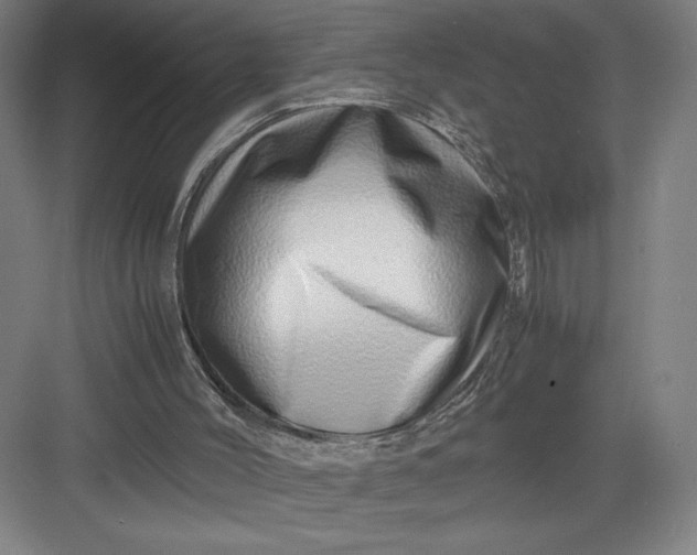 X0000082950004200702152252