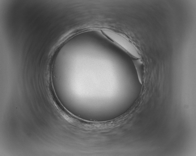 X0000082950005200702152252