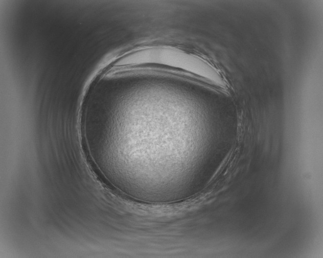 X0000082950006200702152252