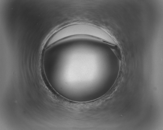 X0000082950007200702152252