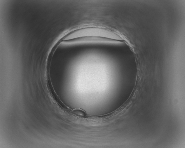 X0000082950008200702152252