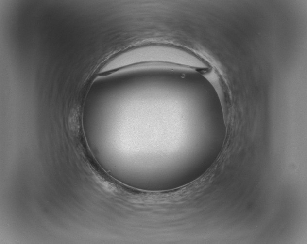 X0000082950009200702152252