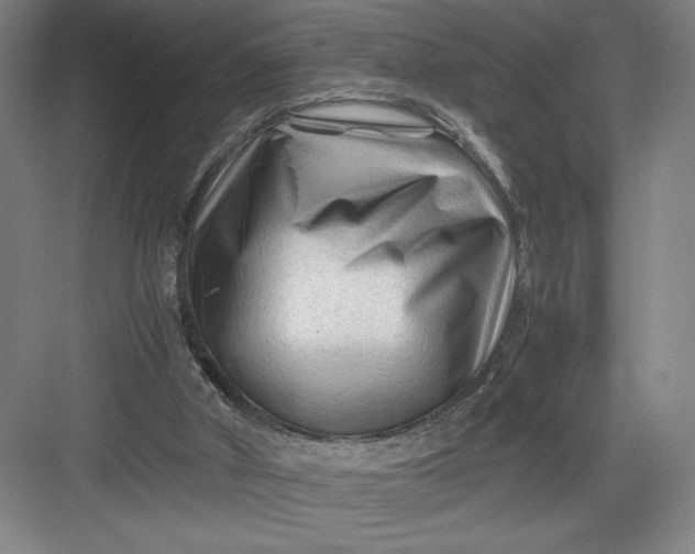 X0000082950010200702152252