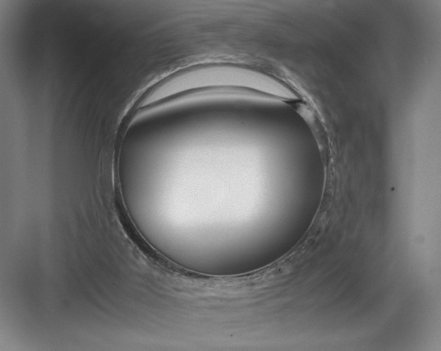 X0000082950011200702152252