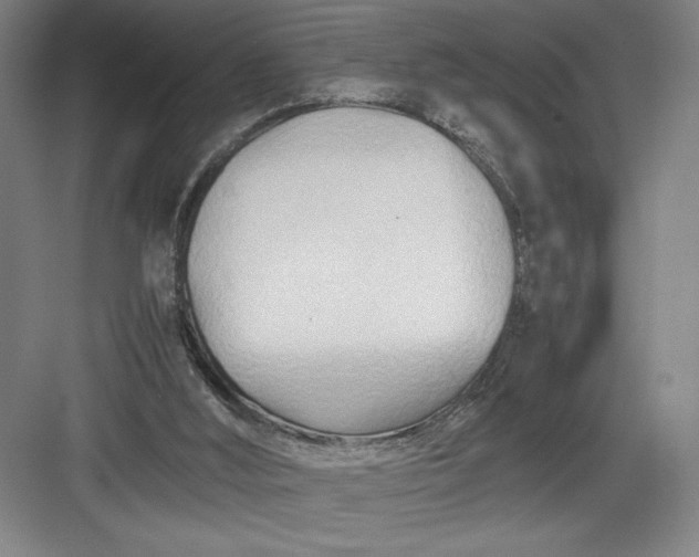 X0000082950012200702152252