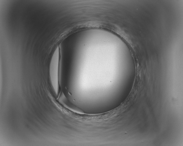 X0000082950013200702152252