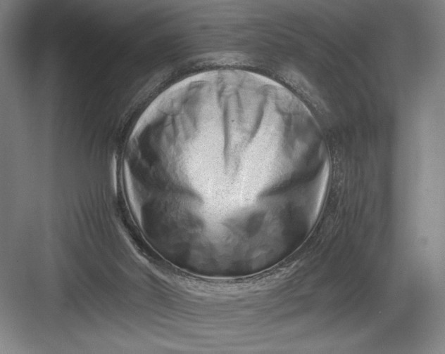 X0000082950014200702152252