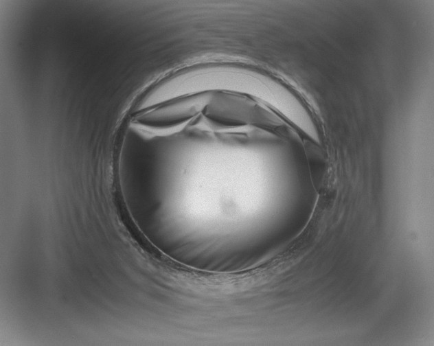 X0000082950015200702152252