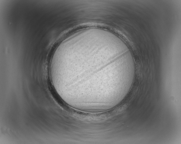 X0000082950016200702152252