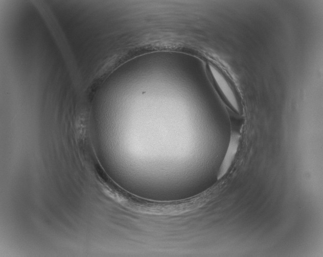 X0000082950017200702152252