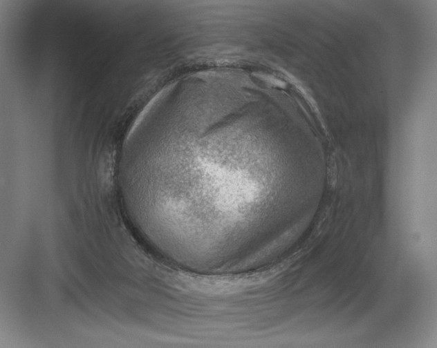 X0000082950018200702152252