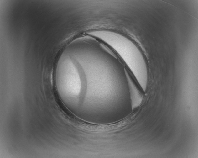 X0000082950019200702152251