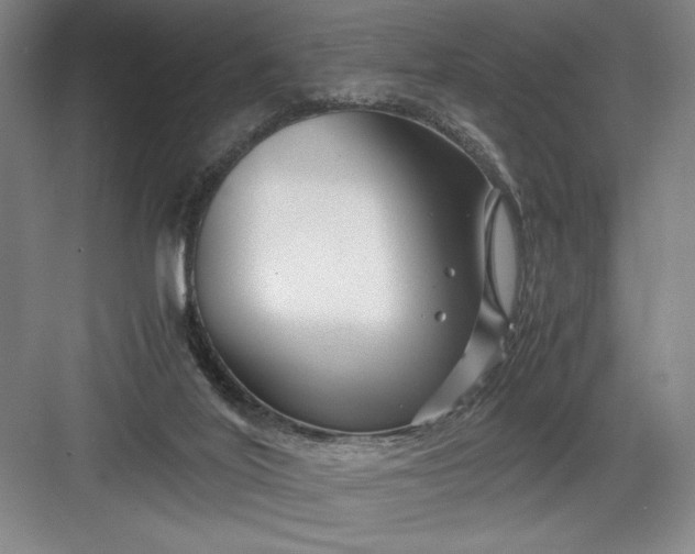 X0000082950020200702152251