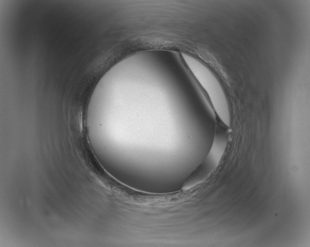 X0000082950021200702152251