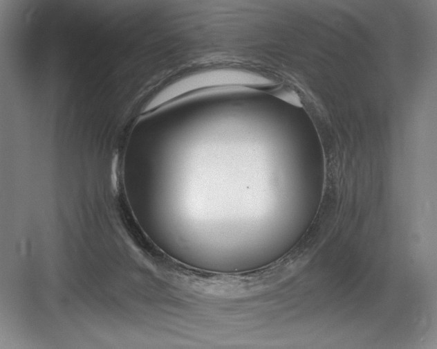 X0000082950024200702152251