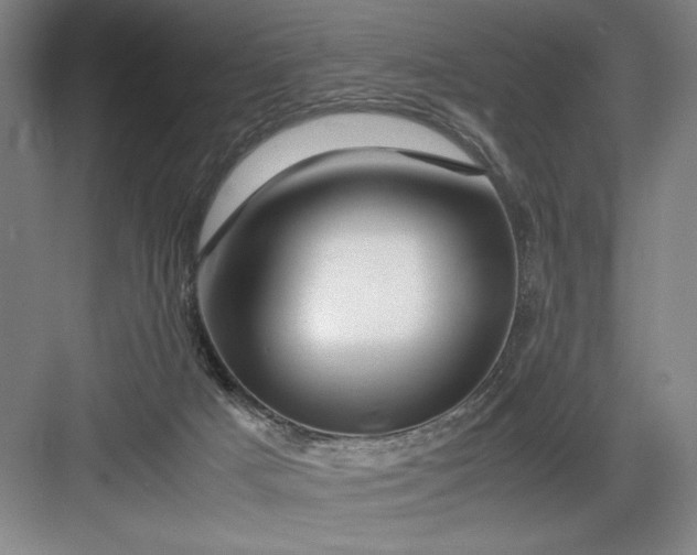 X0000082950025200702152251