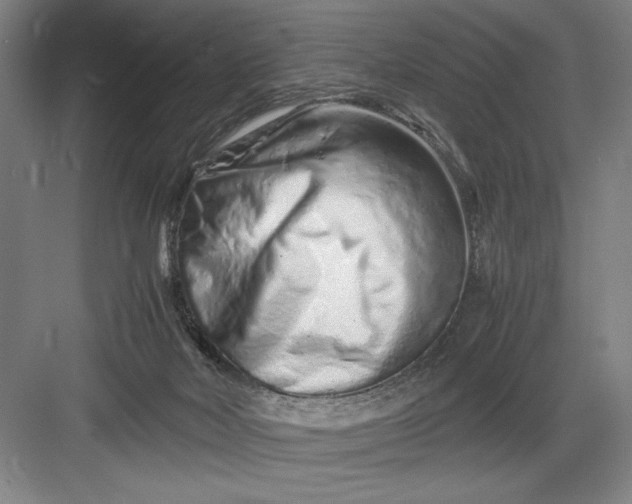 X0000082950026200702152251