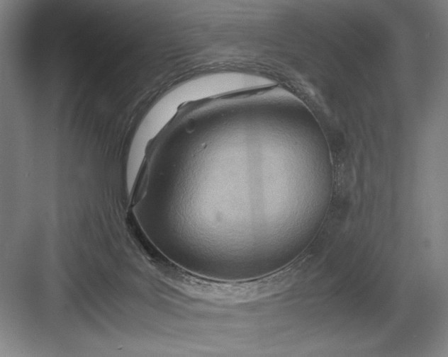 X0000082950027200702152251