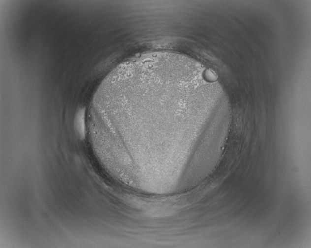 X0000082950028200702152251