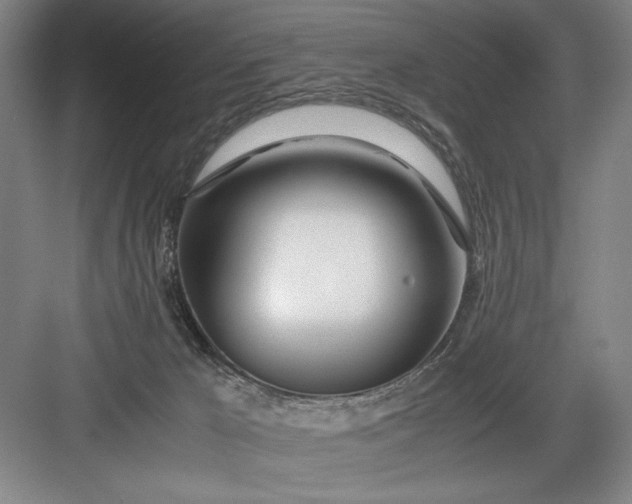 X0000082950029200702152251