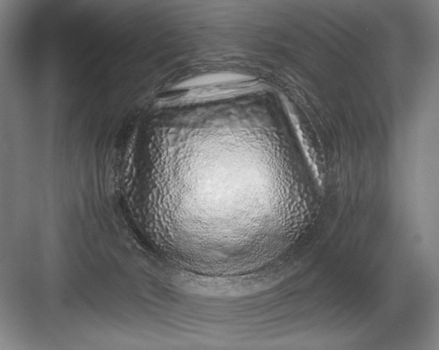 X0000082950030200702152251