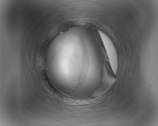 X0000082950031200702152251