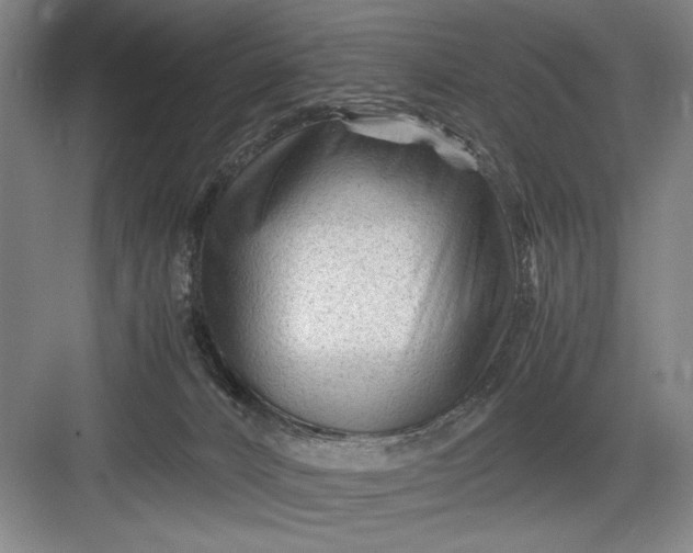 X0000082950032200702152251