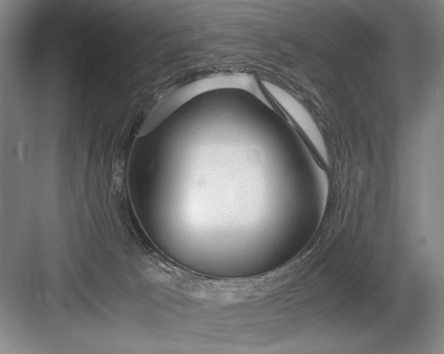 X0000082950033200702152251