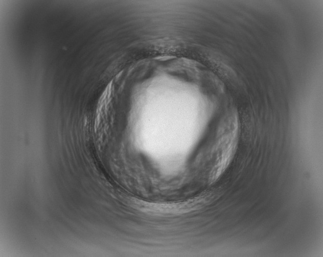 X0000082950034200702152251