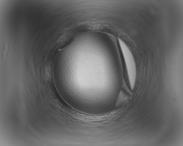 X0000082950035200702152251