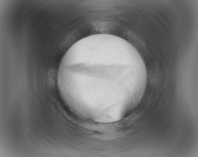 X0000082950036200702152251