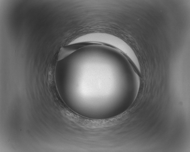 X0000082950037200702152251