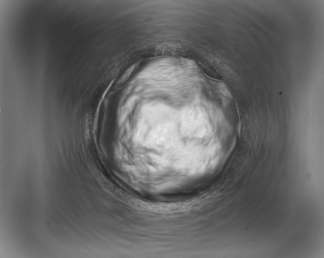 X0000082950038200702152251