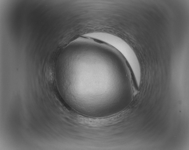 X0000082950039200702152251