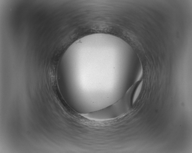 X0000082950040200702152251