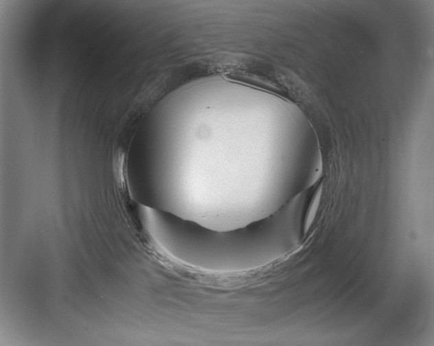 X0000082950041200702152251