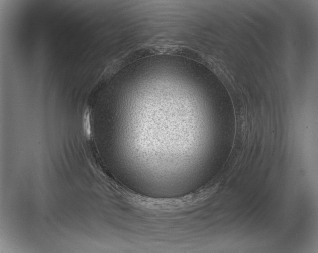 X0000082950042200702152251