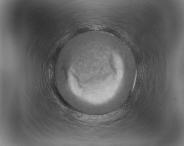 X0000082950043200702152251