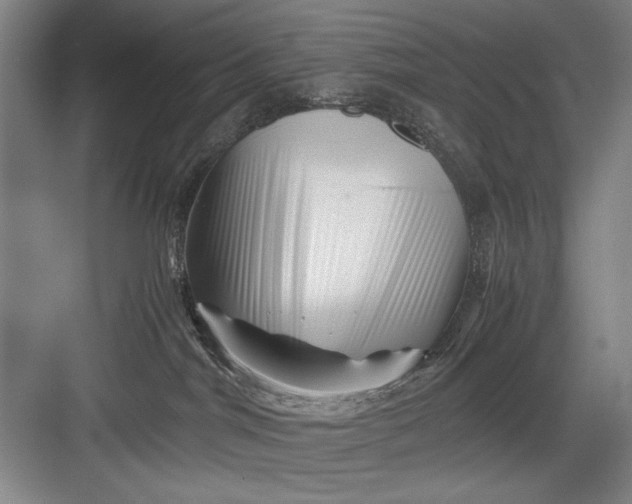 X0000082950044200702152251