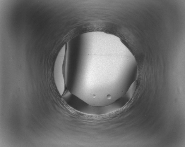 X0000082950045200702152251