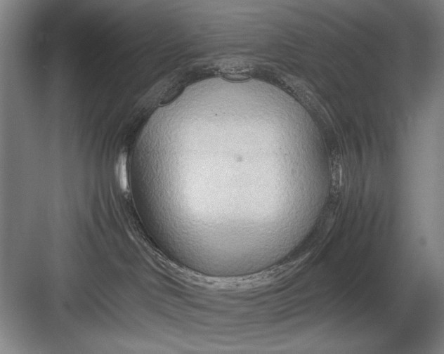 X0000082950046200702152251