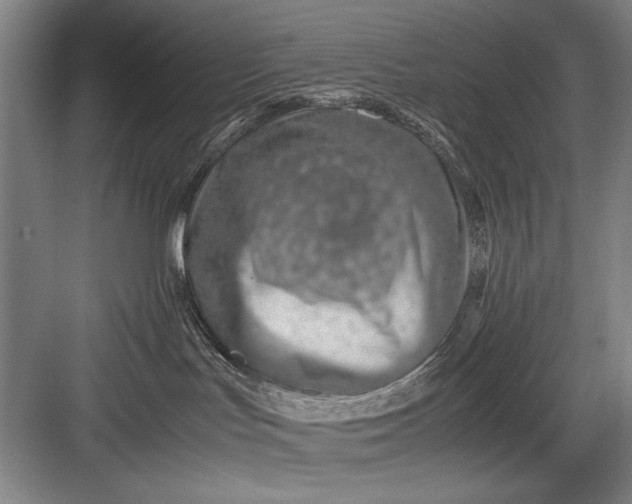 X0000082950047200702152251