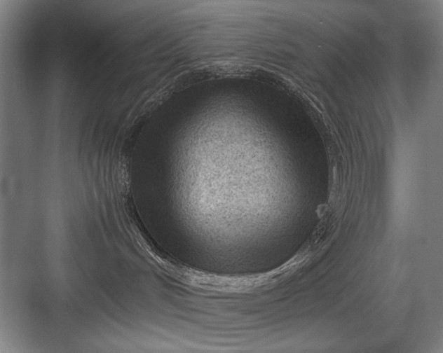 X0000082950048200702152251