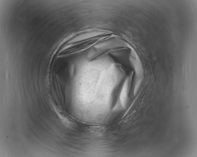 X0000082950050200702152250